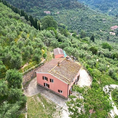 Olive House Tuscany - Zona Pisa Calci Exterior foto
