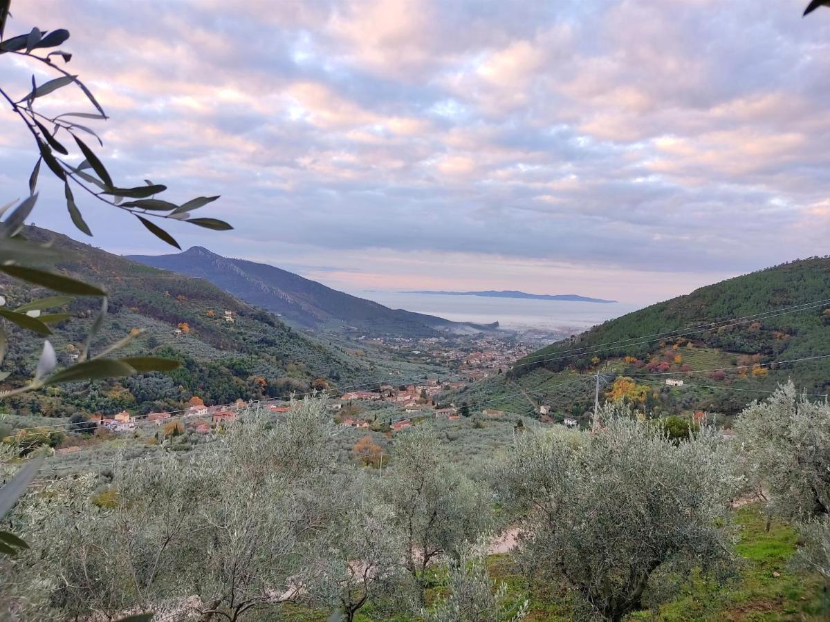 Olive House Tuscany - Zona Pisa Calci Exterior foto