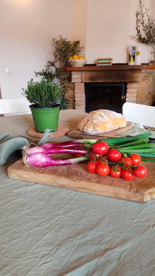 Olive House Tuscany - Zona Pisa Calci Exterior foto