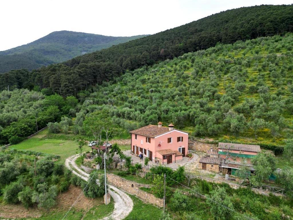 Olive House Tuscany - Zona Pisa Calci Exterior foto