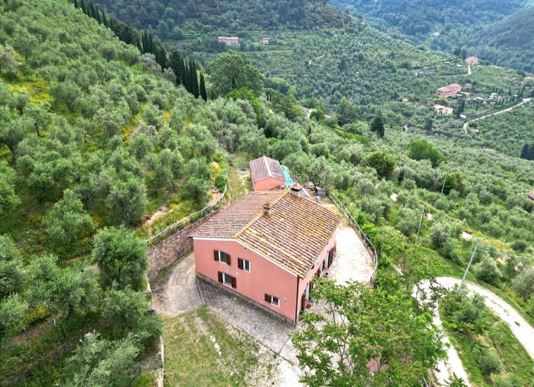 Olive House Tuscany - Zona Pisa Calci Exterior foto